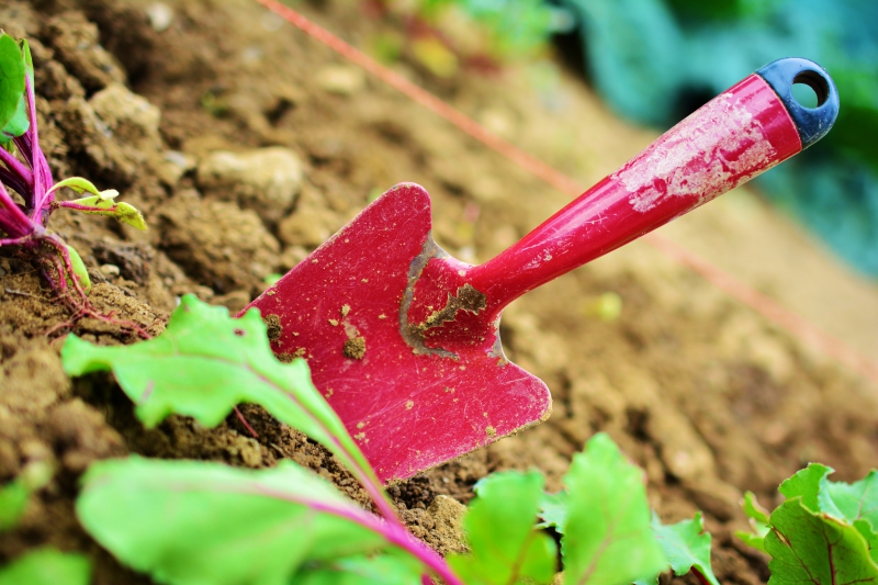 sasu-CHATEAUNEUF GRASSE-min_gardening-2448134